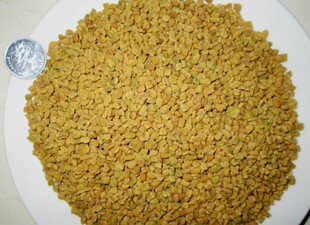 中草药葫芦巴葫芦巴500g胡芦巴籽芦巴豆 芦巴子 苦豆 香豆子