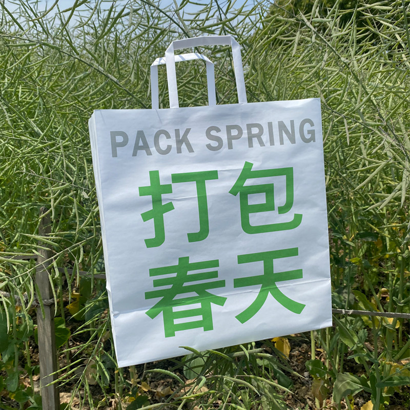 礼品袋子打包春天gift礼物袋纸质袋好东西手提袋学生生日伴手礼袋