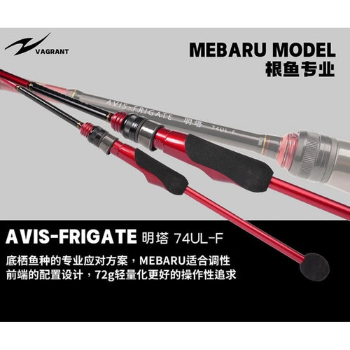 离群鸟明塔荣耀版根钓路亚竿