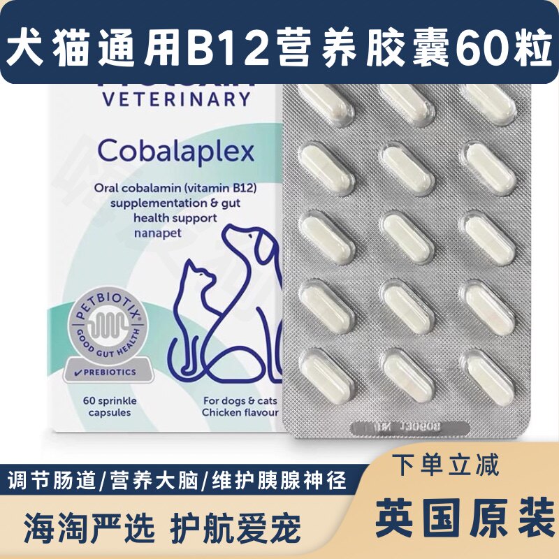 英国原装进口营养品pTB12