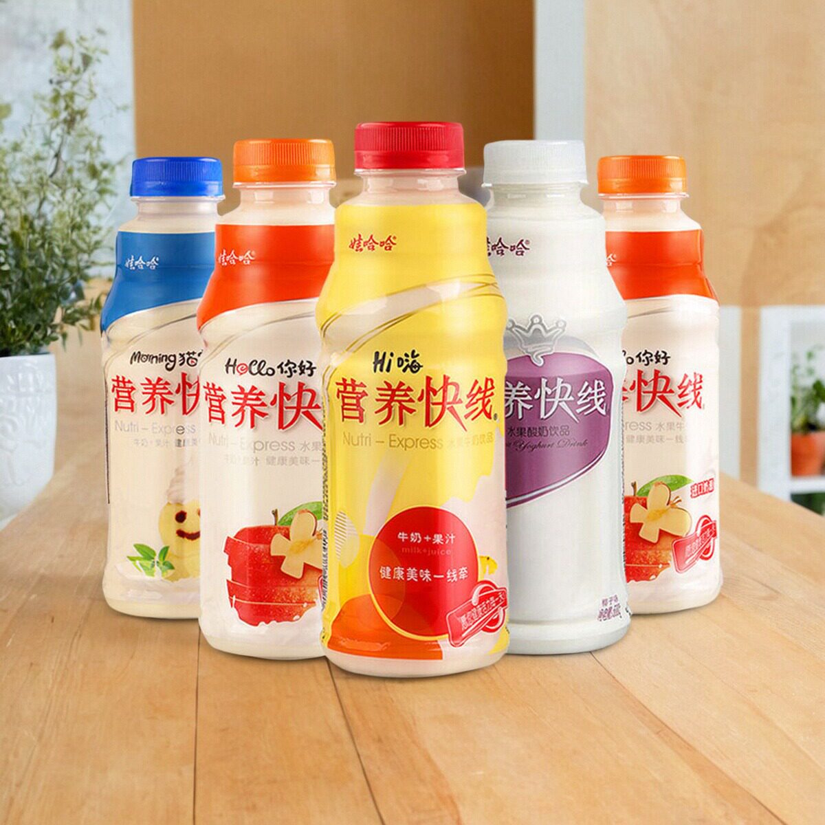 椰子味娃哈哈营养快线整箱哇哈哈500ml瓶装一箱整箱营养早餐饮品