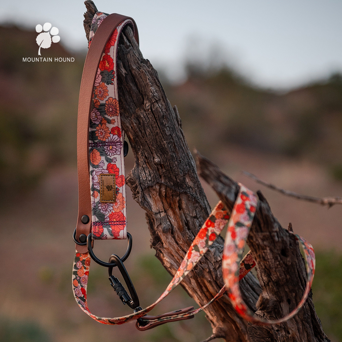 山野犬 仙人掌花 狗项圈中大型牵引脖圈金毛边牧拉布拉多柴犬