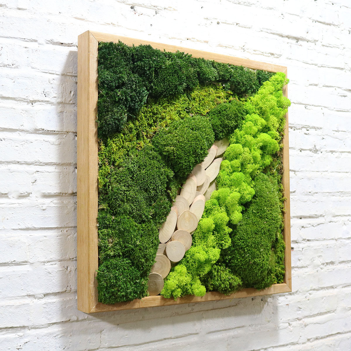 永生苔藓墙面装饰工业风枯枝造景仿真植物多肉田园创意壁挂植物墙