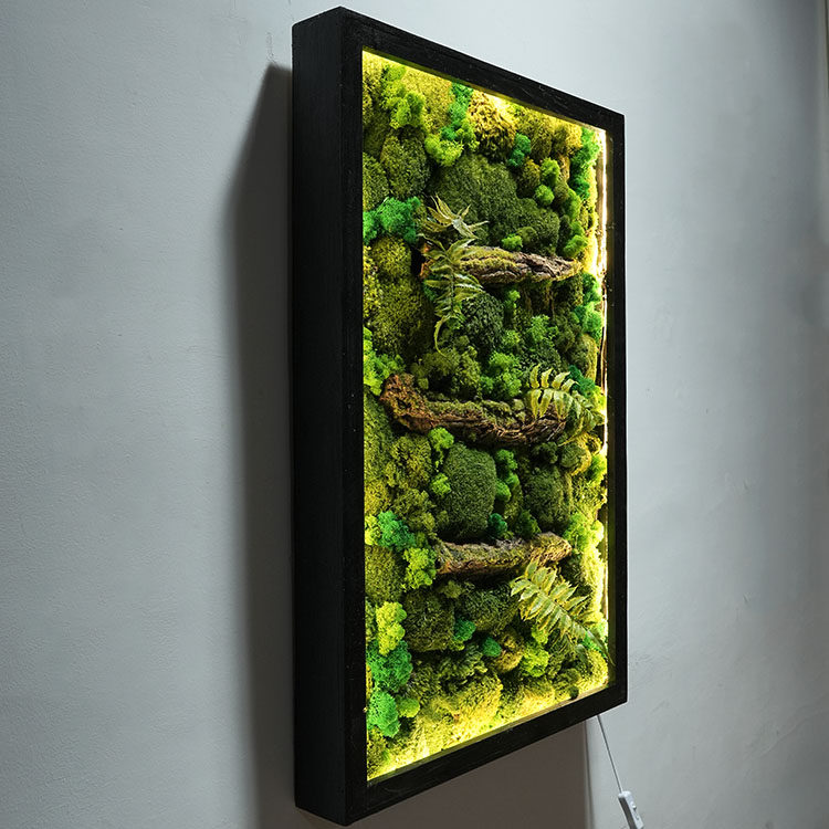 定制植物壁挂永生苔藓壁挂造景假花墙壁装饰灯带发光玄关室内走廊