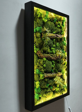 定制植物壁挂永生苔藓壁挂造景假花墙壁装饰灯带发光玄关室内走廊