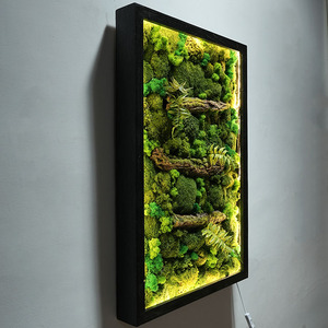 定制植物壁挂永生苔藓壁挂造景假花墙壁装饰灯带发光玄关室内走廊