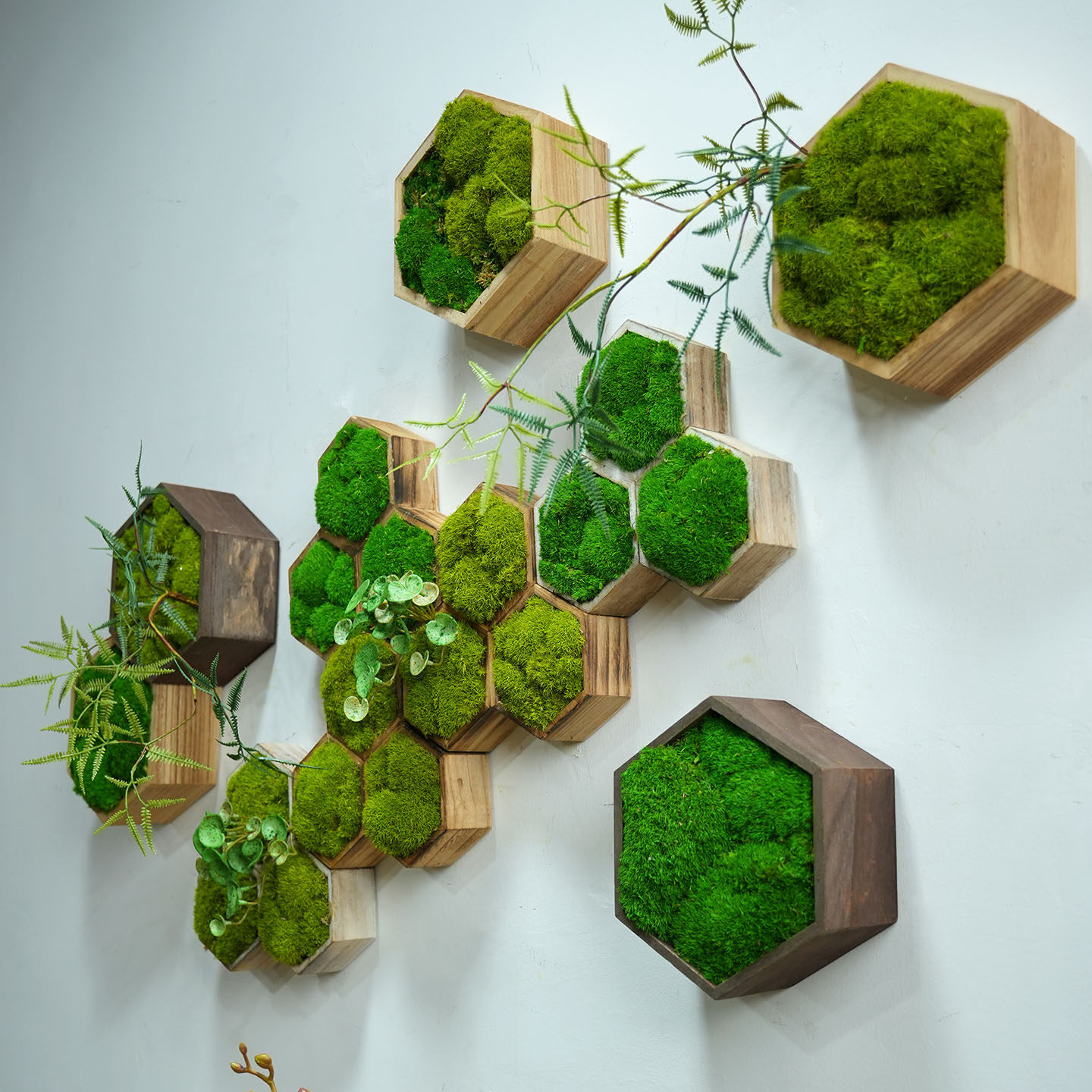 永生苔藓墙壁组合装饰立体假植物图片