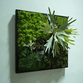 永生苔藓植物壁挂室内墙面软装 白发藓样品房走廊装 饰框画仿真多肉