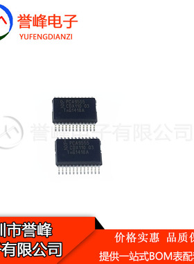 全新原装PCA9555  PCA9555DB  SSOP24 进口原装现货 欢迎咨询