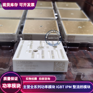 SKIIP28ANB16V1  SKIIP28ANB16V2  SKIIP28AN16V2 全新