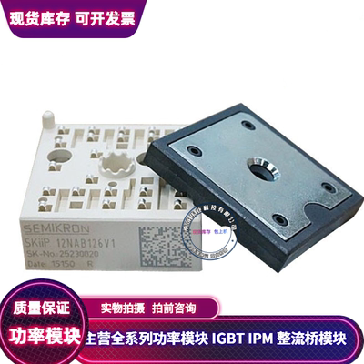 SKIIP12NAB126V1 12NAB12T4V1 11NAB12T4V1 13NAB126V1 13NAB065V