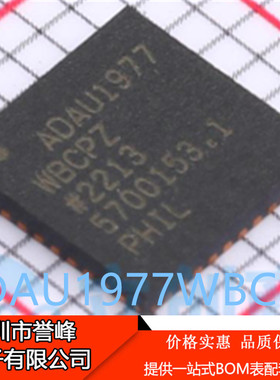 正品进口原装ADAU1977WBCPZ  LFCSP40模数转换器芯片