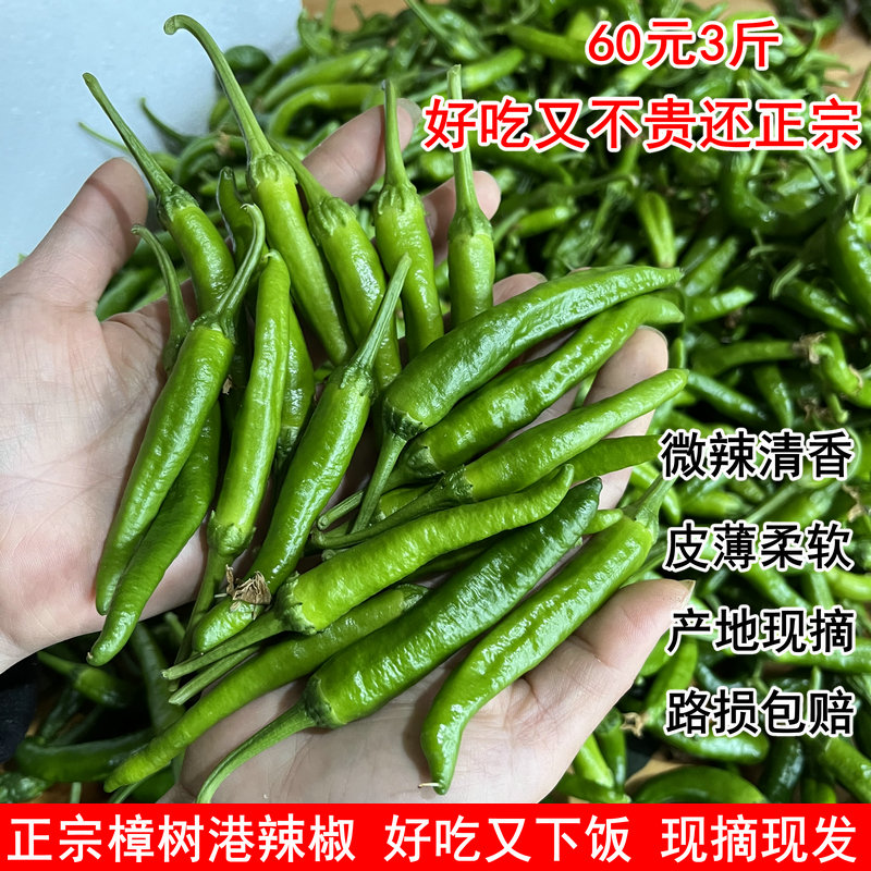 正宗樟树港辣椒 湖南小辣椒 岳阳湘阴特产 原产地现摘 新鲜辣椒