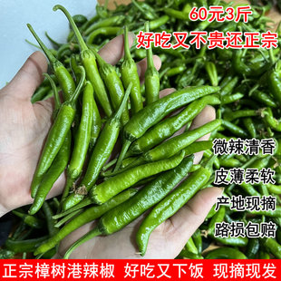 正宗樟树港辣椒 湖南小辣椒 岳阳湘阴特产 原产地现摘 新鲜辣椒