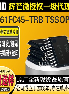 FT61FC45-TRB封装TSSOP20辉芒微FMD芯片单片机MCU实力供应商