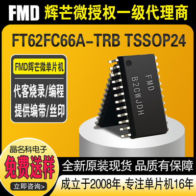 FT62FC66A-TRB TSSOP24辉芒触摸芯片FMD单片机MCU实力商