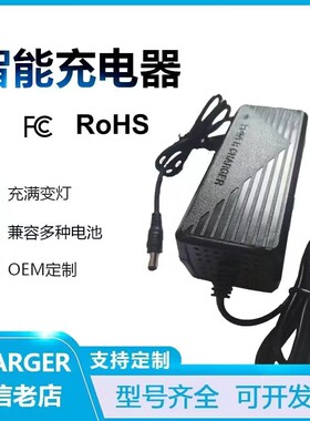 带风扇8.4V12.6V13.5V15V16.8V21V25.2V29.4V3A5A锂电池充电器线