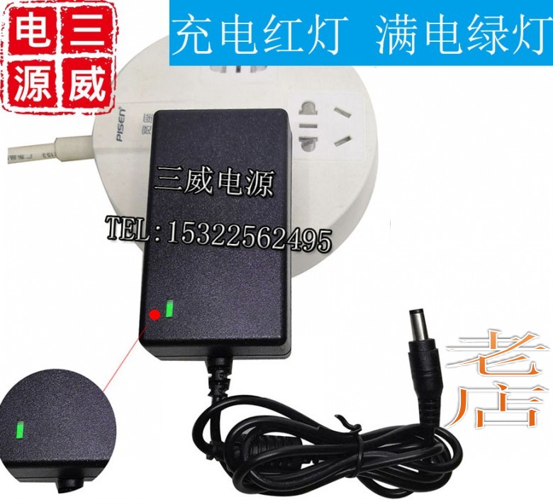 12.6V16V18V21V25V8.4V2A锂电池充电器1.5A通用手电钻童车电源线