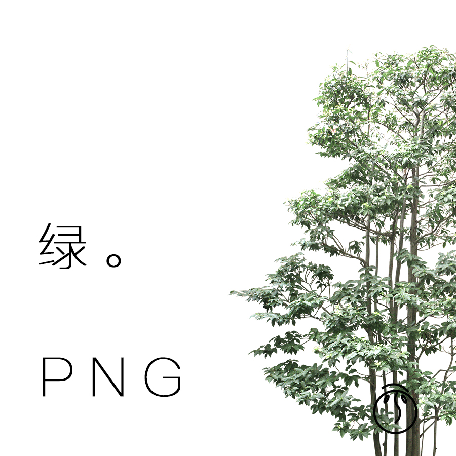 800张后期植物psd文件png格式 ps效果图小清新拼贴素材逼真高清树