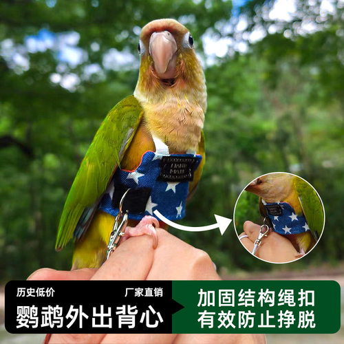 衣服遛鸟背带玄风虎皮放飞绳牵引防飞外出飞行LP
