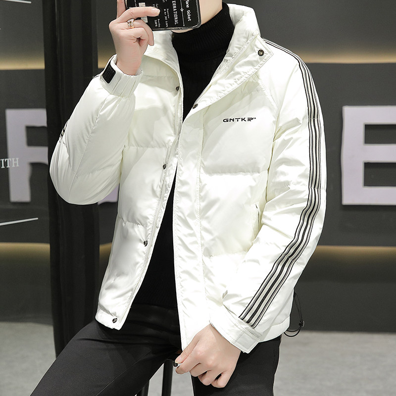 店主风羽绒服冬季男士80白鸭绒立领羽绒外套XZ313B-1-Y802-P160,男装棉衣,星座310B-3