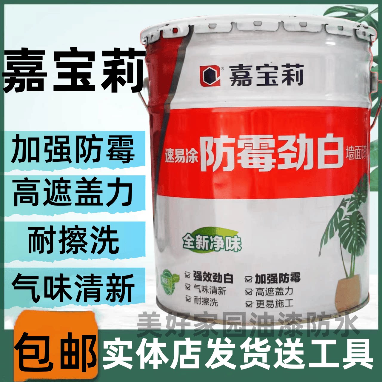 墙面漆加强防霉环保净味
