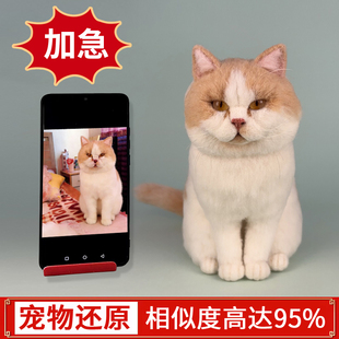 羊毛毡定制宠物仿真离世纪念狗狗模型照片猫咪玩偶纯手工泰迪礼物