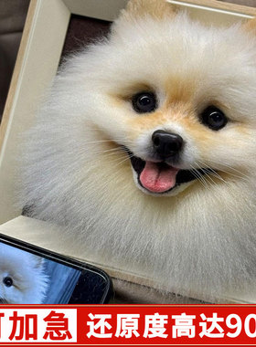 还原度高达95%高仿真定制