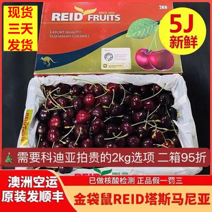 一月初发货澳大利亚塔斯马尼亚金袋鼠REID澳洲车厘子樱桃4j科迪亚