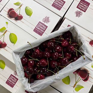 二天发货新西兰亚尼士/奥莱克车厘子奥塔哥樱桃澳洲水果礼盒顺丰