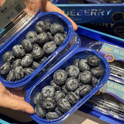 源选·枝冠Super Jumbo花香脆甜蓝莓 礼盒装 顺丰空运200g六盒