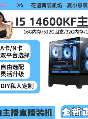 小荷小慧/14600KF/32GB/5060/5060TI/ 9060XT/显卡主机