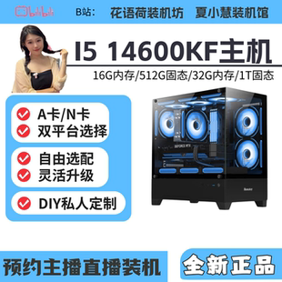 14600KF 9060XT 32GB 5060TI 显卡主机 5060 小荷小慧
