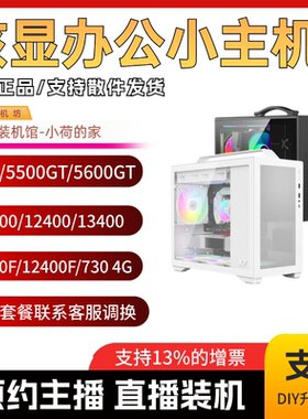 春节保价 核显小主机/手提ITX小机箱/5600GT/12100/12400/主机