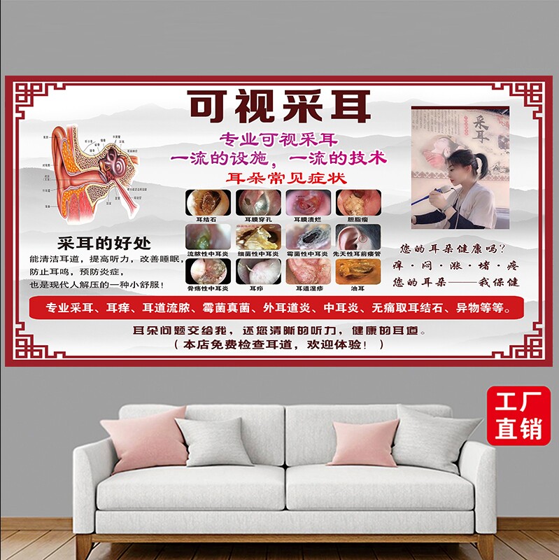 可视采耳养生挂图洗眼洗鼻图片养生馆耳朵常见症状装饰画海报挂画