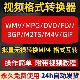 DVD M2TS OGVF视频转MP4格式 WMV GIF MKV FLV MPG M4V 转换器代转