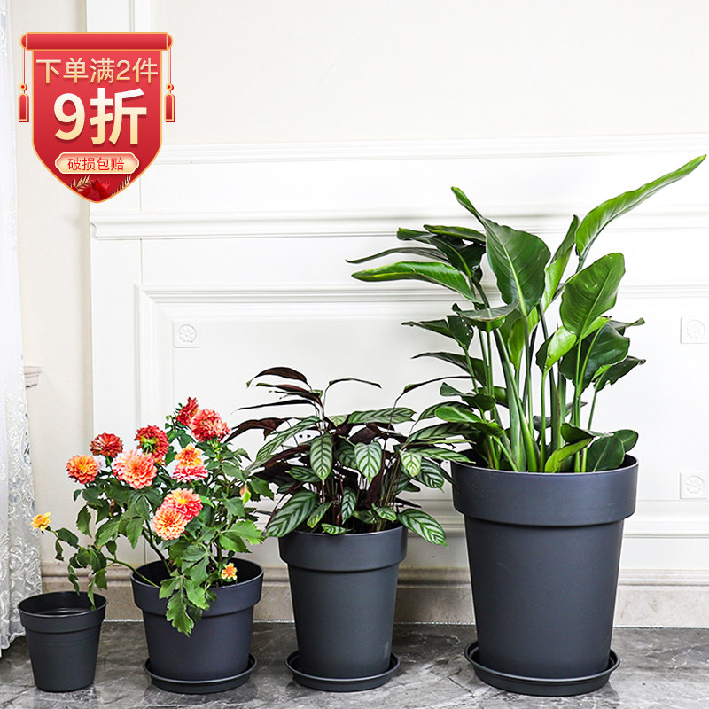 阳台花园简约塑料花卉绿植树脂大花盆月季花天堂鸟多肉桌面种植盆