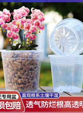高透明硬质塑料花盆蝴蝶兰育苗多肉兰花铁皮石斛观根控根透气盆