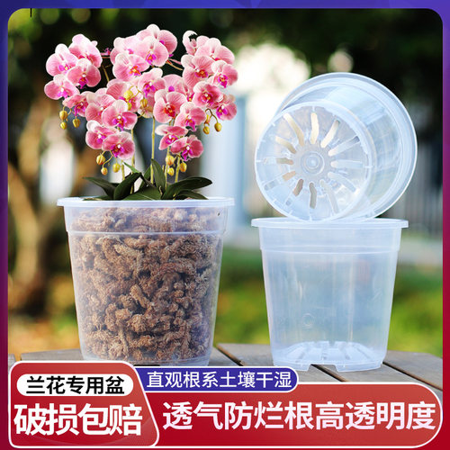 硬质塑料透明兰花盆可视根系生长