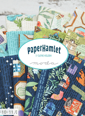 进口高档纯棉手工DIY拼布布料 Paper Hamlet 39560 1/4码