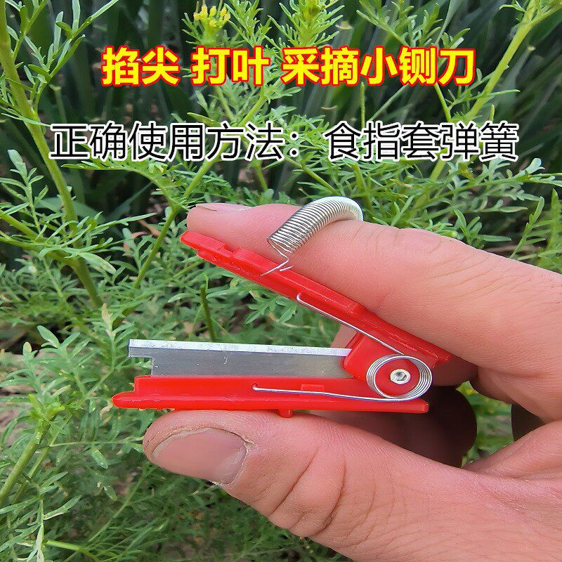打叶摘菜拇指采摘刀工具采摘小铡刀黄瓜豆角葡萄掐须打尖打叉刀