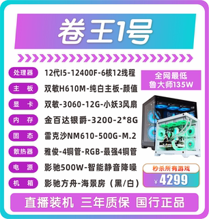 12400F 双敏H610M 双敏-3060-12G-小妖3风扇 电脑游戏主机