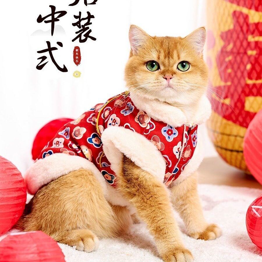 拜年装新年衣服加厚唐装旗袍马甲布偶猫蓝猫幼猫宠物防寒棉衣冬装