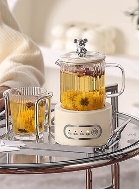 【花茶煮茶器养生壶】