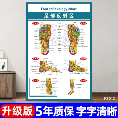 足部反射区宣传海报医院诊所定制