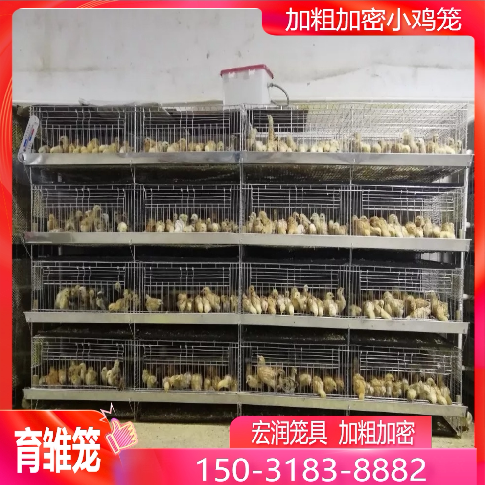 小鸡笼子育雏笼子多层新款养鸡笼家用脱温鸡笼养殖场专用育雏鸡笼
