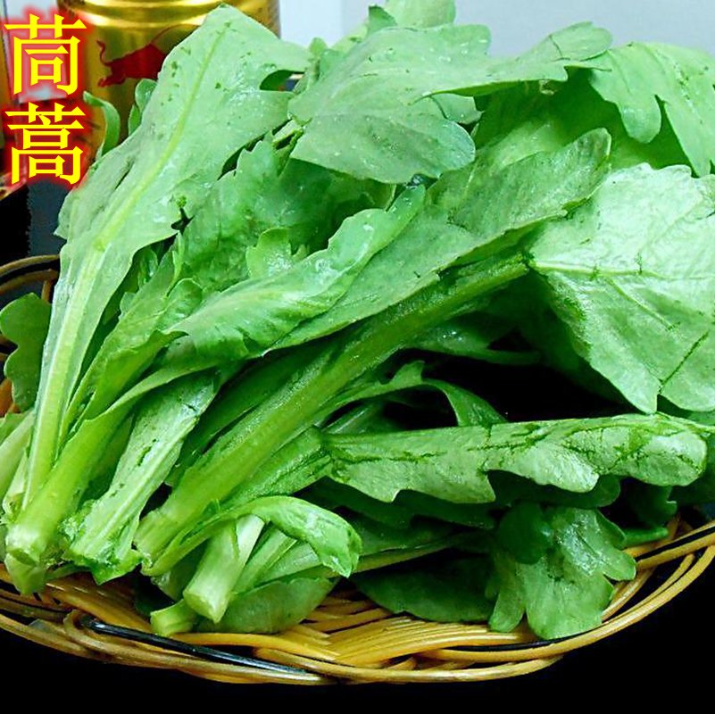 密云农家 新鲜大叶茼蒿 蒿子秆 农家肥 时令蔬菜适合涮锅炒菜500g