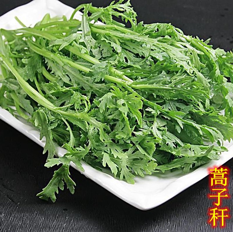 密云农家新鲜茼蒿蒿子秆农家肥无农药时令蔬菜火锅涮菜 500g