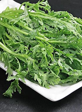 密云农家 新鲜茼蒿 蒿子秆 农家肥 时令蔬菜火锅涮菜 500g