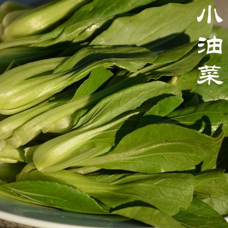 密云农家新鲜油菜青菜绿叶菜小油菜农家肥无农药宝宝辅食1斤